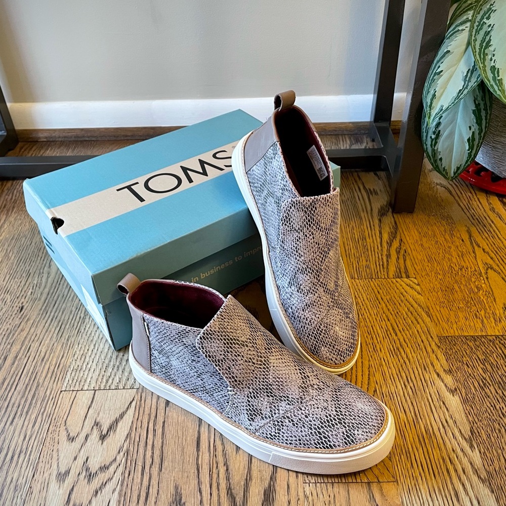 TOMS Paxtons